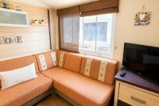 Mobile home à Gujan-Mestras - Mobil Home 162 3 chambres Gujan Mestras